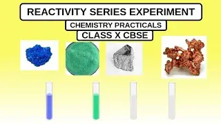 REACTIVITY SERIES X CLASS CHEMISTRY PRACTICAL