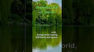 Proverbs 16:8 With reflection #motivation #inspiration