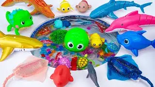 [Toy asmr] RC Shark & RC Penguin & Zuru Fish & Water Park Aquarium ASMR Satisfying with Unboxing