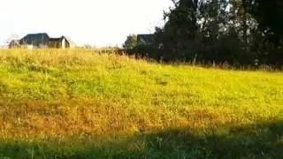 Homes for Sale - 137 WACO HEIGHTS RD Waco KY 40385 - Debbie Clark