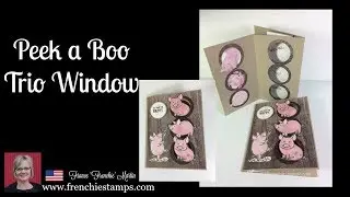Peek a Boo Trio Window