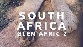 Volunteering at Glen Afric 🐘 🇿🇦