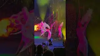 Зажигательный танец красивых девушек в цирке 🎪 #shorts #dance #dancevideo #новороссийск #girl