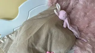 Blanket Reveal of Triplet 1 + Ashton Drake Twins update