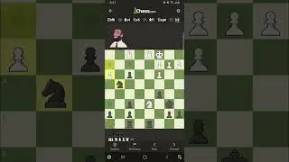 Winning against every chess.com bot! Nelson #chess