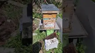 post Installation