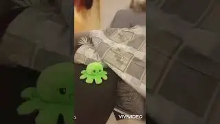 Reversible Octopus Plush | #ReversibleOctopus #OctopusPlush #MoodyOctopus | 💯 Like
