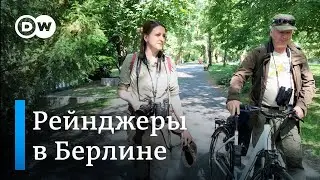 Дикая природа большого города: зачем Берлину понадобились рейнджеры