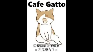 あけましておめでとう！新春チャリティークレーンゲームライブ🎍🧧