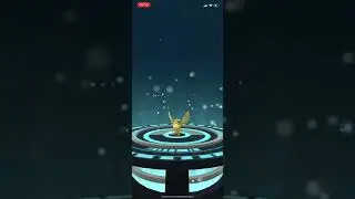 The silph road moneybags challenge nplumb