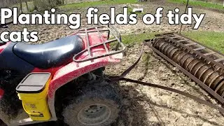 Reseeding the sacrifice paddock with Tidy Cats