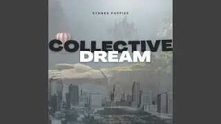 Collective Dream