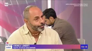 api,vespe e calabroni,cosa dobbiamo sapere,prevenzione e pronto soccorso