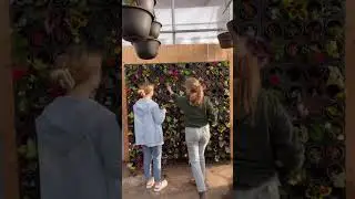 Planting the Living Wall Spring 2023