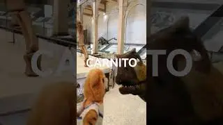 Oso y Carnito
