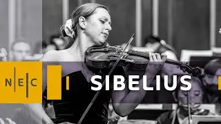 Sibelius: Violin Concerto in D minor - 1st Movement | Maria Ioudenitch, NEC Philharmonia