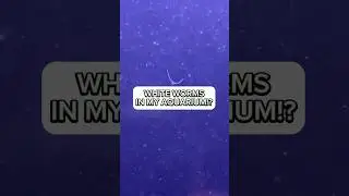 Что это за белые черви в моём аквариуме? (Черви-детриты в моём аквариуме) #уходзааквариумом #аква...