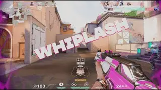 Whiplash 🏎️ | Ezmark Highlights #3
