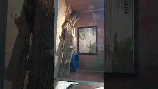 Nem simporto com os f&atilde;s 😁