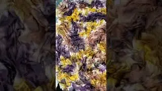 Easiest Tie-dye crumple method with multiple colors.