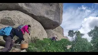Casteddu de Montesali OK