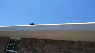 Palm Coast resident Inspects Good gutter service install gutters