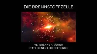 DIE BRENNSTOFFZELLE VERBRENNE KR&Auml;UTER STATT DEINER LEBENSENERGIE #gesundheit #kr&auml;uterkunde #balance