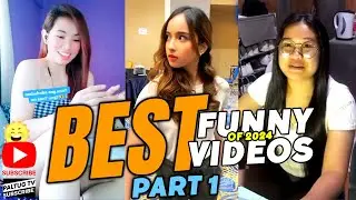 😂 Best Funny Videos of 2024 PART 1 try not to laugh | PALTUG TV (reaction video)