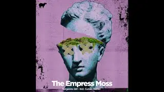 PREMIERE: Surgeons Girl - Dark Moss Night Terror (Curses Remix) [Inside Out Rec]
