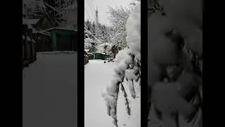 Beauti of Himachal in snow #nature #mountains #shortsfeed #snow #snowfall #himachal #chamba #viral