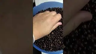 Steam juicer. ~20min Time and mess saver!!! #elderberry #growyourownfood #juicefruit #juicerblender