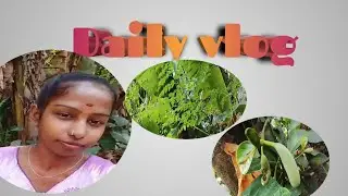 Daily vlog(ಮಕರ ಸಂಕ್ರಾಂತಿ ಹಬ್ಬದ ಶುಭಾಶಯ ಗಳು)
