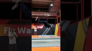 Just a simple Triple Cat Twist