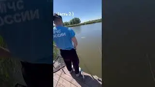 Зеркальный карп 6,5 кг
