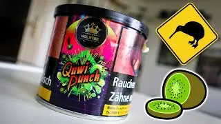 🥝 HOLSTER QUWI PUNCH 🥊