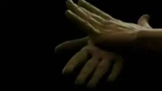 Clip 