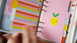 Обзор моих ежедневников kikki.k