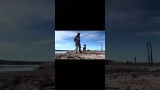Ajax - in turn in a loud crazy outdoor environment 
