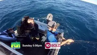 IFISH Big Fish after Big Fish off Ballina NSW