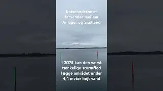 Kalveboderne set fra Hvidovre Havn