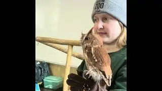 Inside the Maryland Zoo 🦁 | Glymont Students Explore Animal Careers in ZooLab
