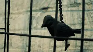 Splitting Mirror Trailer