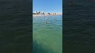 Lido di Jesolo, Italy beach plaża #italy #lidodijesolo #beach #venezia