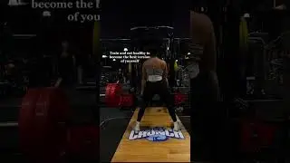 Miranda Cohen Shorts Video | Gym Workout Motivation #fitness #gymlifestyle #Shorts
