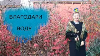 СТИХИЯ ВОДЫ. ПОЧЕМУ НЕ ЦЕНИМ? КАК С НЕЙ РАБОТАТЬ? ЦВЕТА В ПАВЛОВОПОСАДСКОМ ПЛАТКЕ, РИТУАЛЫ.