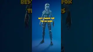 BEST Winter Legends Skins Combos ‼️🧊🔥#fortnite #blickykt