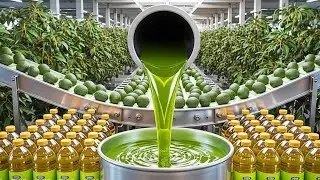 How Avocado Oil Is Made | Full Factory Process (Step by Step)