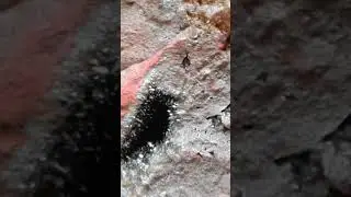 A meteorite not attracted to a magnet is an achondrite, rare compared to other types of meteorites
