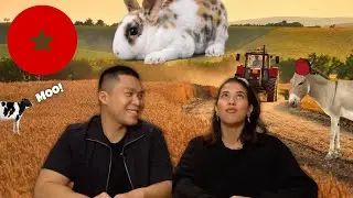 Teaching my ASIAN husband ANIMALS in Moroccan ARABIC