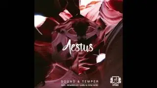[VF005] Sound & Temper - Aestus (Original Mix)